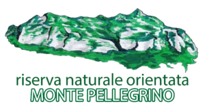 Riserva Monte Pellegrino