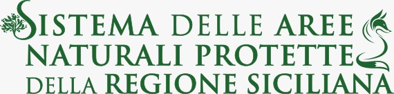 WhatsApp Image 2026-03-27 at 14.24.46